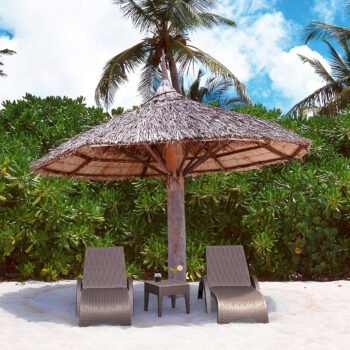 Fiji - Image 2